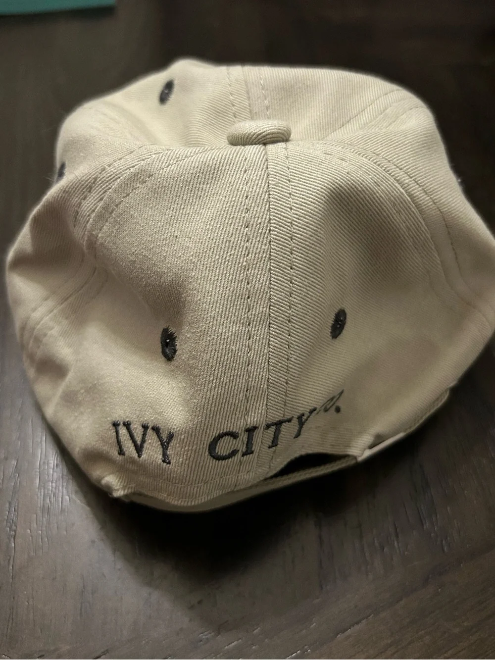 Ivy City Co Kids Light Sage Dad Hat